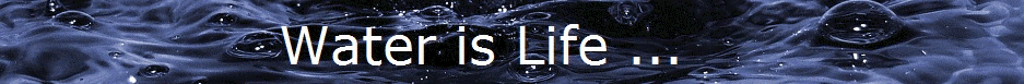 Berkey Water Filters