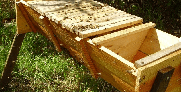 bees bees