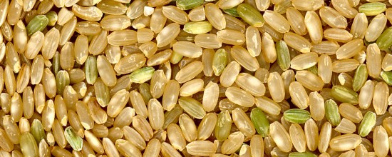brown-rice