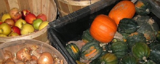 fal2007_root_cellar_checkin