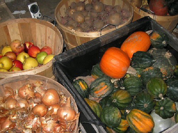 fal2007_root_cellar_checkin fal2007_root_cellar_checkin