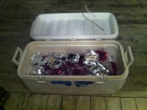 meat