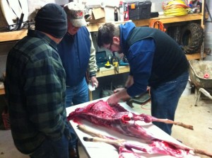 Butchering